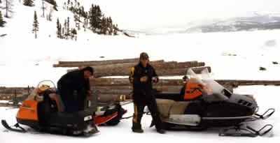 logging